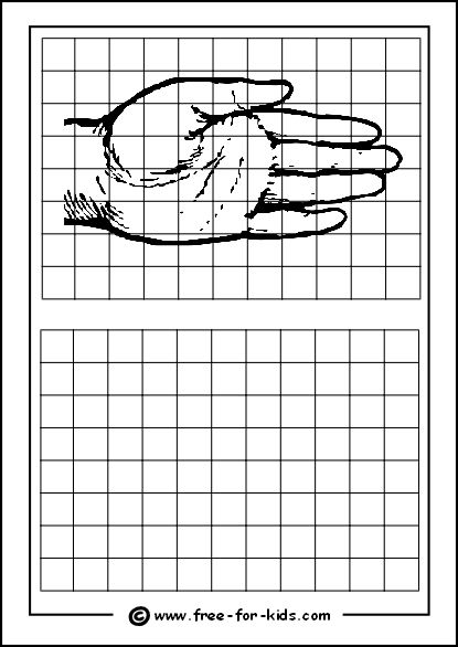 grid drawing